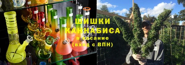твердый Елизово