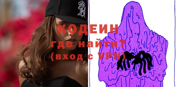 твердый Елизово