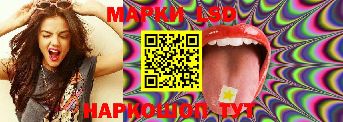 LSD-25 экстази  mega ССЫЛКА  Новороссийск  ЛСД экстази кислота  Лсд 25 экстази ecstasy 