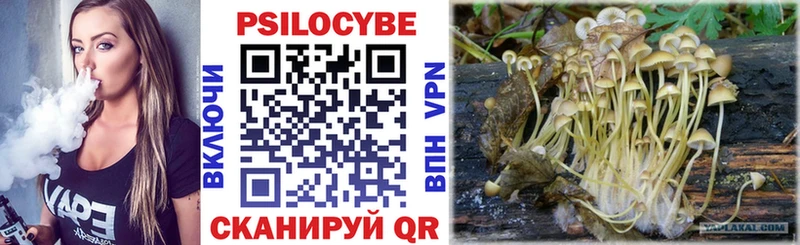 Купить закладки  Новороссийск  Псилоцибиновые грибы Magic Shrooms 