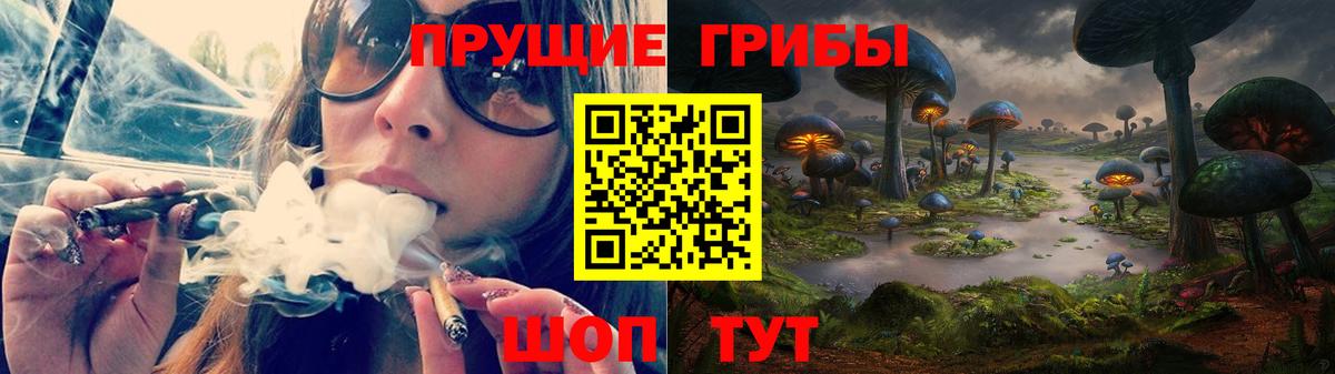 Галлюциногенные грибы Magic Shrooms  Новороссийск 